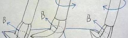 狂草字体转换【狂草字体是谁发明的】