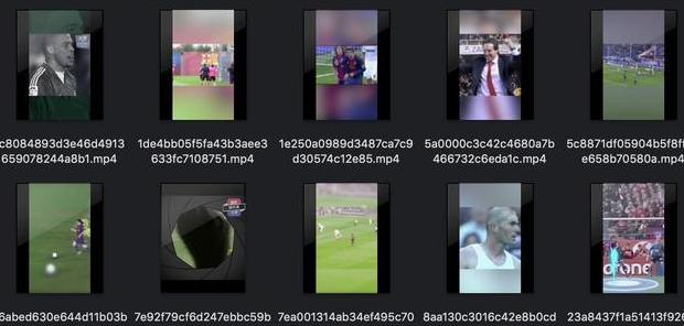 菜鸟编程网站python【菜鸟编程网课】