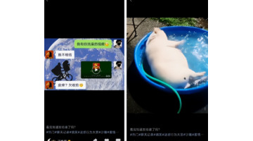 手机微信视频号怎么制作视频【微信视频号用什么软件制作视频】