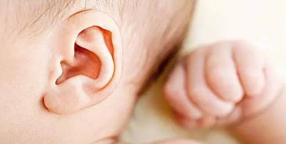 面相中最有福气的7种鼻子【什么样的鼻子最有福相】