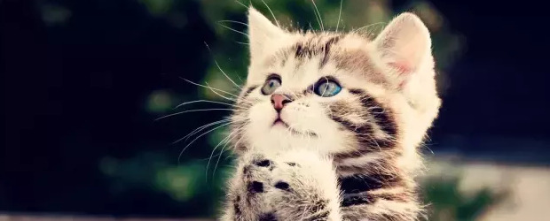 与基督徒女生交往禁忌【已婚基督徒男女交往禁忌】