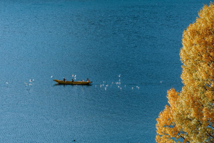 3000字几分钟读完【3000字要读多久】