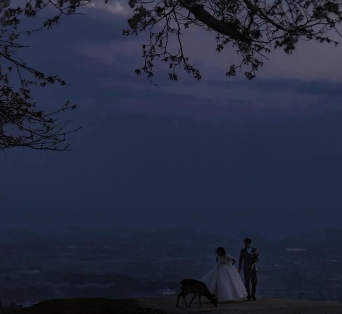 女生个性签名唯美简短【精致女孩的签名短句】