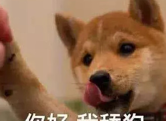 绿奴口舌伺候情侣主【绿奴之路最新章节列表】