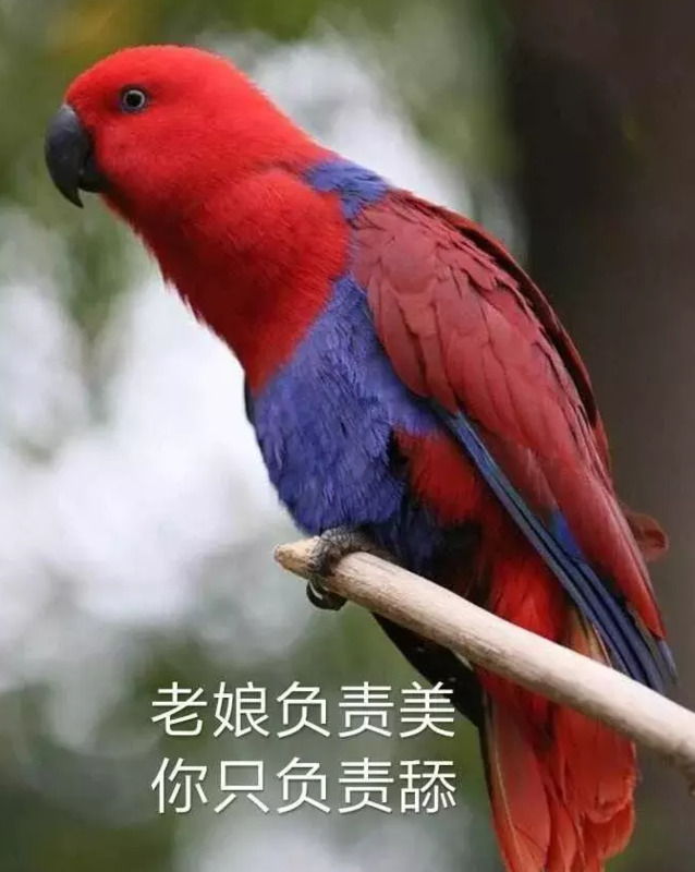 绿奴口舌伺候情侣主【绿奴之路最新章节列表】