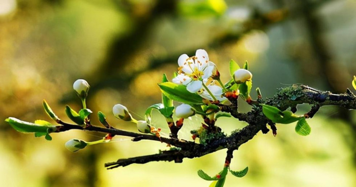 情商最高的五大星座女【哪些星座女情商越来越高】