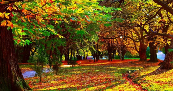 情商最高的五大星座女【哪些星座女情商越来越高】