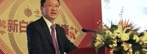 云南白药logo演变过程【云南白药logo设计】