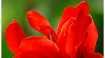 梦见自己来月经把裤子弄脏了是什么意思【梦见自己来月经见血了是什么预兆】