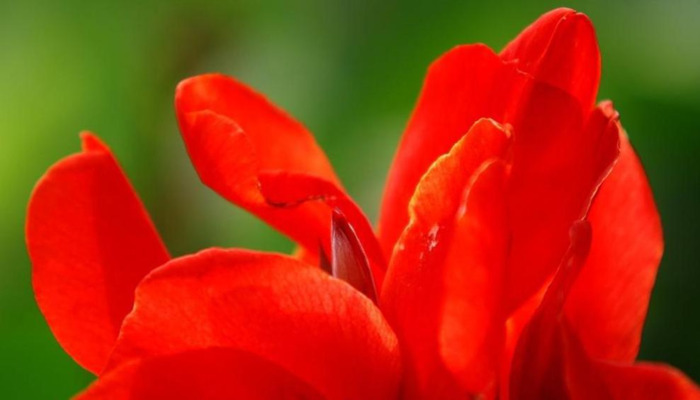 梦见自己来月经把裤子弄脏了是什么意思【梦见自己来月经见血了是什么预兆】