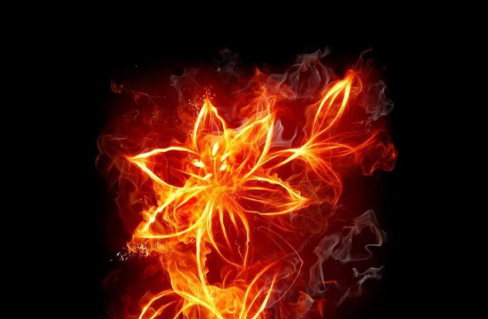 梦见自己来月经把裤子弄脏了是什么意思【梦见自己来月经见血了是什么预兆】