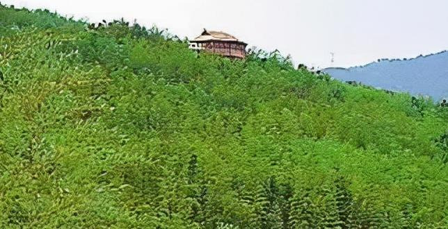 小船在湖里怎么描写【描写船在湖上的句子】