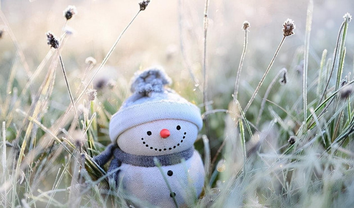 emo是什么网络用语【emo是什么网络用词】