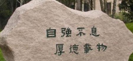 网上直播买衣服怎么买【怎样直播买衣服】