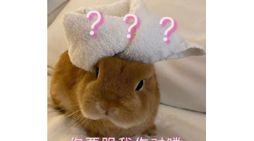 你好像有那个大病怎么回复【你好像有那个大病用日语怎么说】