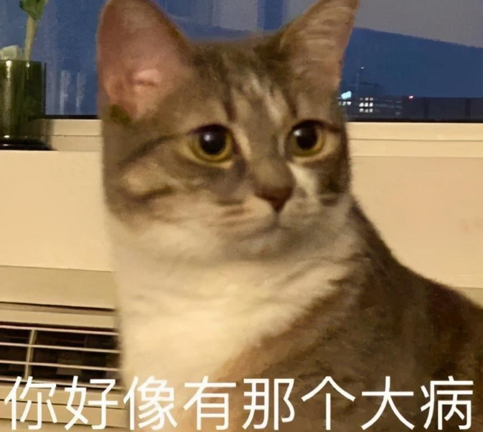 你好像有那个大病怎么回复【你好像有那个大病用日语怎么说】