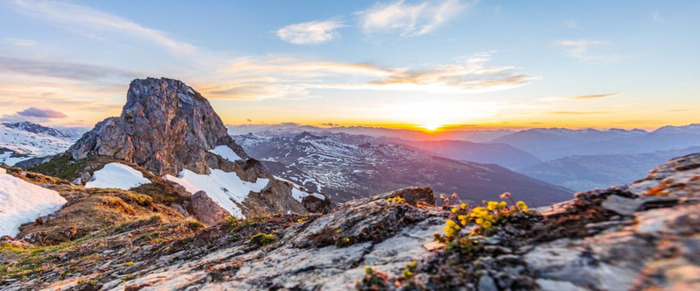 适合老年人的视频【抖音刷到的都是老年人的视频】