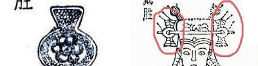 啄木鸟和戴胜鸟是同一种鸟吗【戴胜鸟和啄木鸟有什么区别】