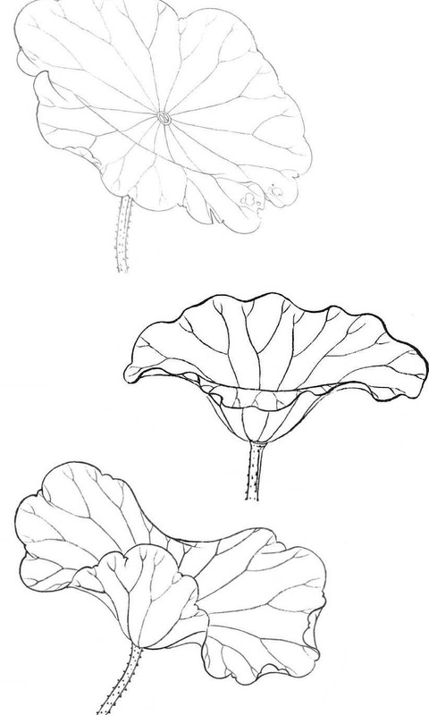工笔画入门步骤视频教程全集牛图工笔画【工笔画入门步骤视频教程全集 网盘】