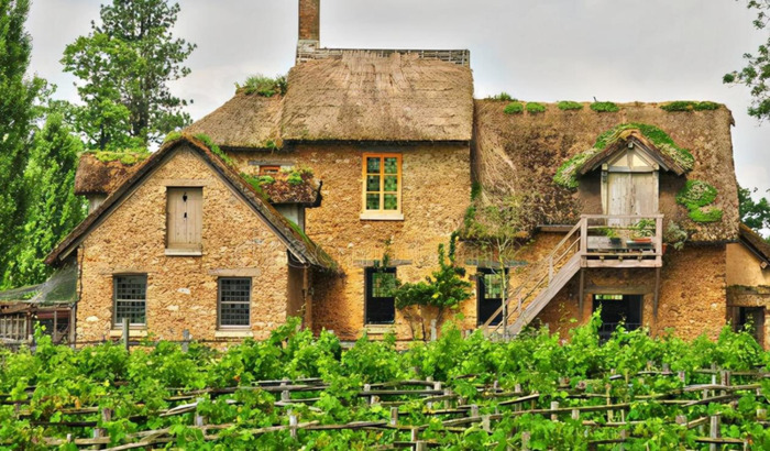 范进中举续写200字作文【范进中举续写200字范进没中举】