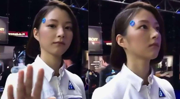 伴侣型机器人价格【人工智能伴侣机器人】