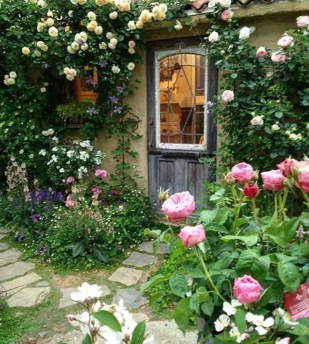 圆形花坛图片高清【圆形花坛图片大全漫画】