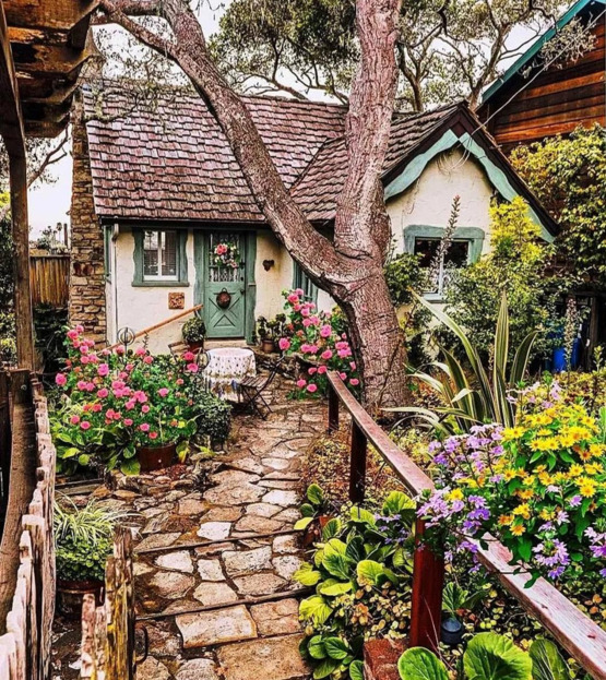 圆形花坛图片高清【圆形花坛图片大全漫画】