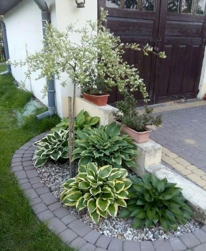 圆形花坛图片高清【圆形花坛图片大全漫画】