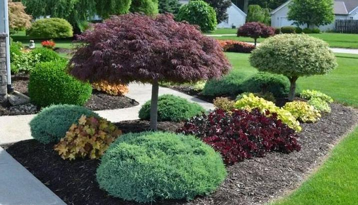 圆形花坛图片高清【圆形花坛图片大全漫画】