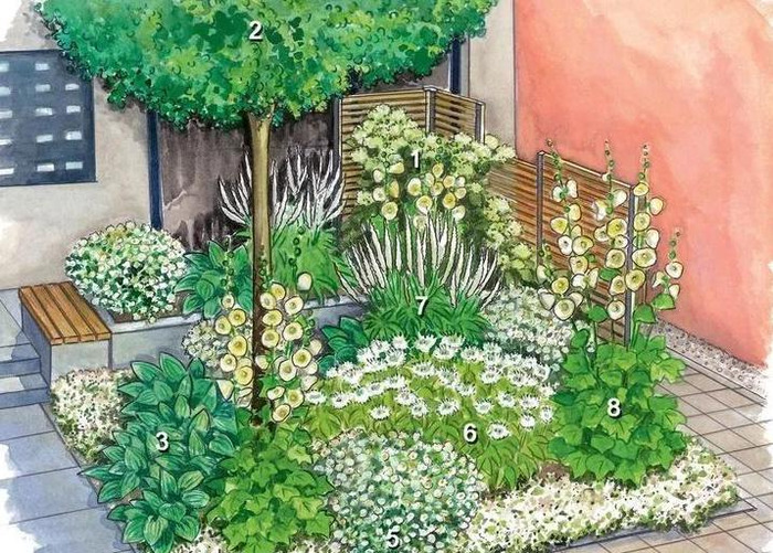 圆形花坛图片高清【圆形花坛图片大全漫画】