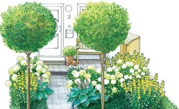 圆形花坛图片高清【圆形花坛图片大全漫画】