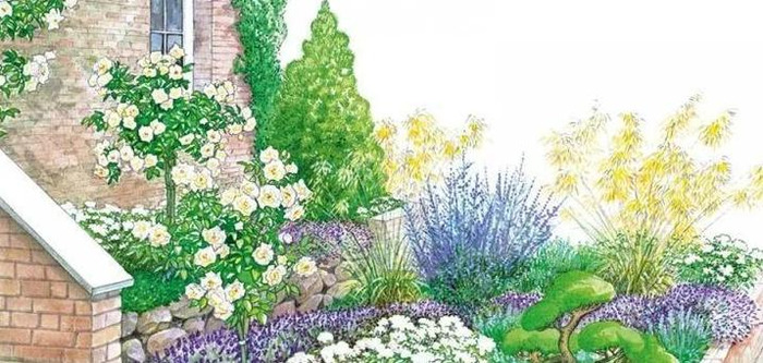 圆形花坛图片高清【圆形花坛图片大全漫画】