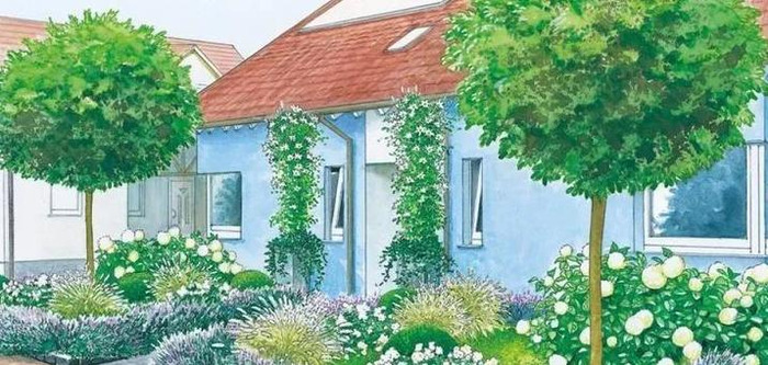 圆形花坛图片高清【圆形花坛图片大全漫画】