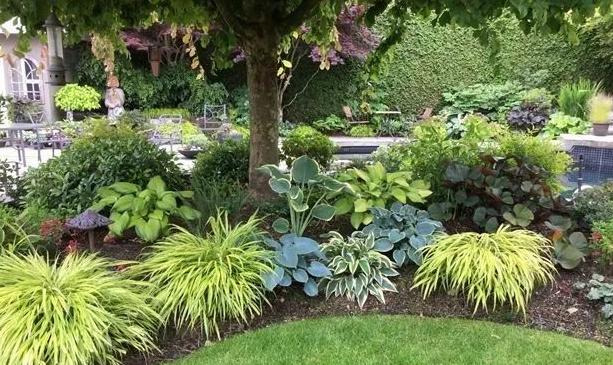 圆形花坛图片高清【圆形花坛图片大全漫画】