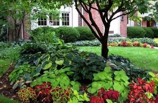 圆形花坛图片高清【圆形花坛图片大全漫画】