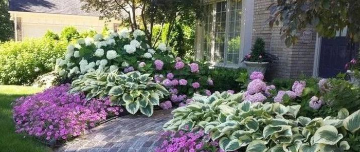 圆形花坛图片高清【圆形花坛图片大全漫画】