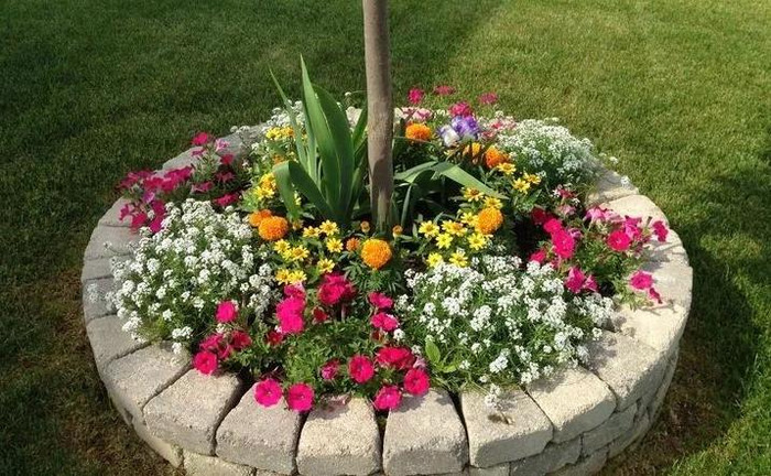 圆形花坛图片高清【圆形花坛图片大全漫画】