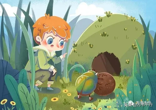 荒石园读后感20字【荒石园读后感100字】