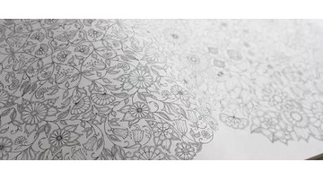 秘密花园的作者是谁原名是谁【秘密花园的作者是谁主人公是谁】