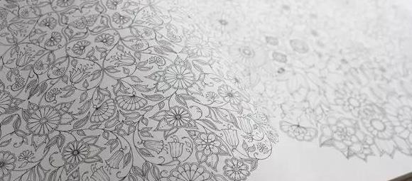 秘密花园的作者是谁原名是谁【秘密花园的作者是谁主人公是谁】