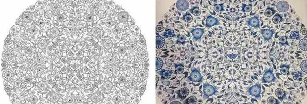 秘密花园的作者是谁原名是谁【秘密花园的作者是谁主人公是谁】