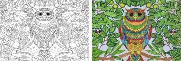 秘密花园的作者是谁原名是谁【秘密花园的作者是谁主人公是谁】