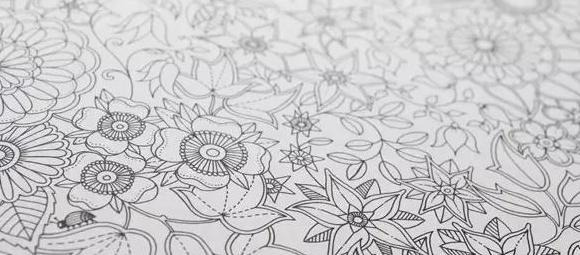 秘密花园的作者是谁原名是谁【秘密花园的作者是谁主人公是谁】