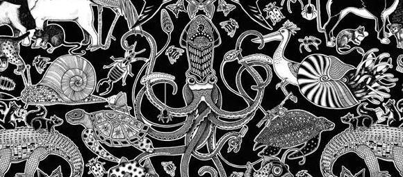 秘密花园的作者是谁原名是谁【秘密花园的作者是谁主人公是谁】