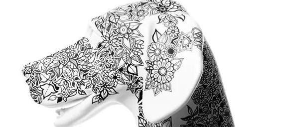 秘密花园的作者是谁原名是谁【秘密花园的作者是谁主人公是谁】