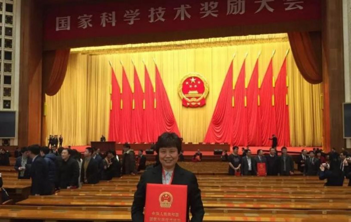 东华大学校徽中的线条代表了?【东华大学校徽线条】