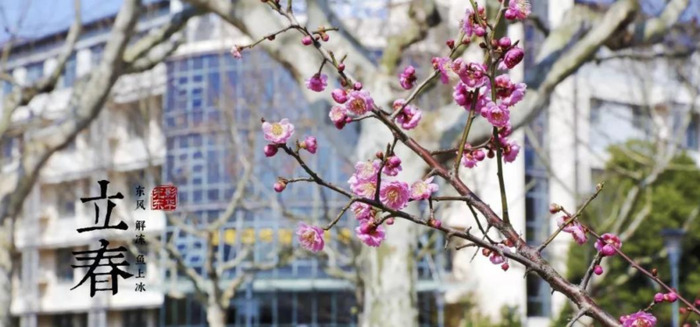 东华大学校徽中的线条代表了?【东华大学校徽线条】