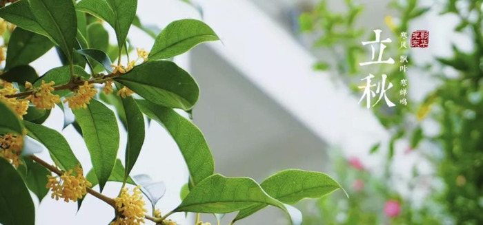 东华大学校徽中的线条代表了?【东华大学校徽线条】