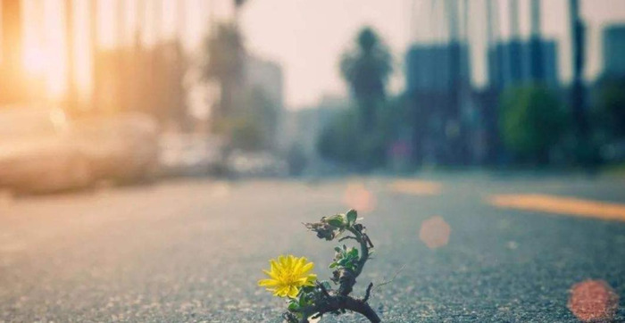 我也可以作文开头【原来我也可以作文】