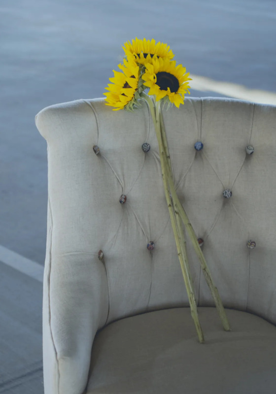 橙黄色代表什么象征意义【橙黄色是什么颜色加什么颜色】